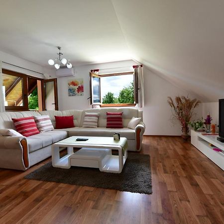 Apartman Jelena Раковица Экстерьер фото