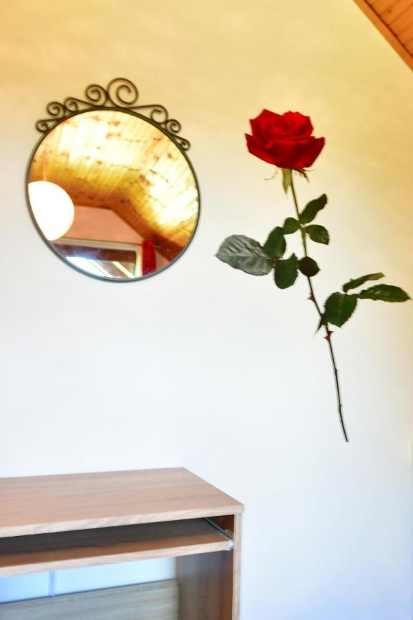Apartman Jelena Раковица Экстерьер фото